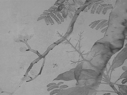 透過紅外線攝影確認樹枝構圖與蜜蜂翅膀造型