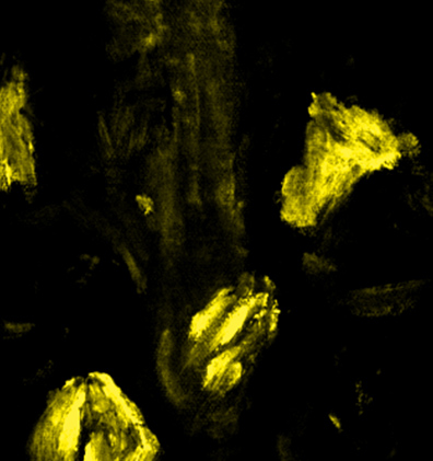 黃玫瑰則是以鉻黃（鉻酸鉛）繪製