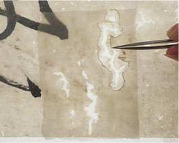 在缺失處背面補紙