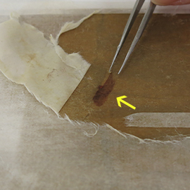 裂損處的補紙背面全色色彩過重