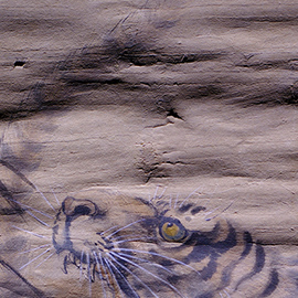 畫心黃化、脆化,斷裂翹起