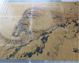 正面暫時性加固