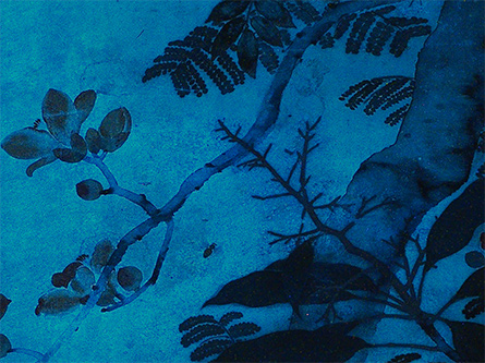 科學檢測示意圖