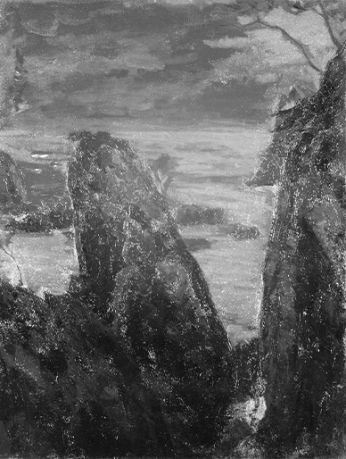 紫外線反射攝影